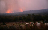Wildfires rage in the forest close to the village of Novelo, Slovenia, on July 21, 2022. (Jure Makovec/AFP)