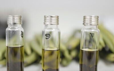 Screen capture from video of Vanilla Vida's flavor-enhanced vanilla essence, August 2021. (YouTube)