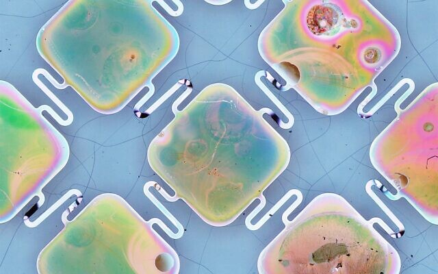 A magnified image of the Israeli-developed material which speeds the repair of damaged nerves using electricity (courtesy of the Technion-Israel Institute of Technology)