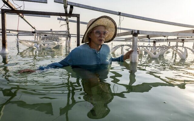 Multidisciplinary Israeli artist Sigalit Landau is pictured next to one of her artworks, submerged in the salty Dead Sea water at the Ein Bokek resort, on August 2, 2022. - (MENAHEM KAHANA / AFP)