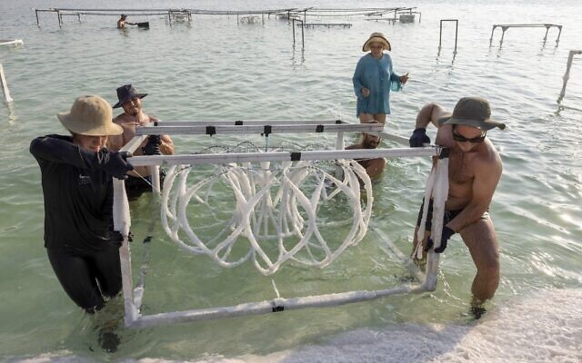 Israeli multidisciplinary Israeli artist Sigalit Landau (Behind) looks on as assistants pull out one of her artworks from the Dead Sea, after being submerged in the salty water at the Ein Bokek resort, on August 2, 2022. (MENAHEM KAHANA / AFP)