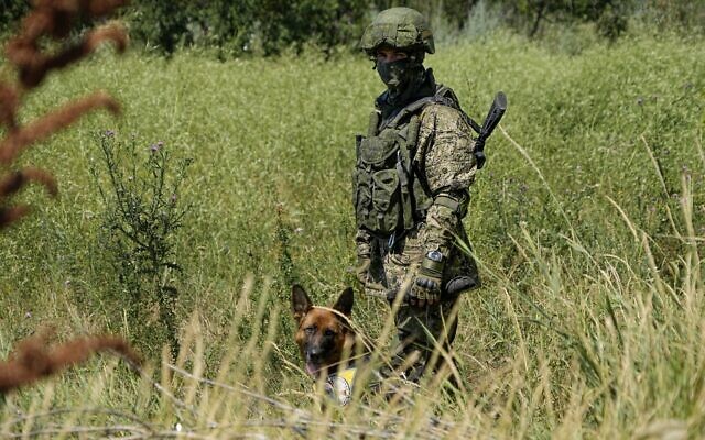 A Russian mine clearing expert with a dog works to find and defuse mines along the high voltage line in Mariupol, on the territory which is under the Government of the Donetsk People's Republic control, eastern Ukraine, July 13, 2022. (AP) A Russian mine clearing expert with a dog works to find and defuse mines along the high voltage line in Mariupol, on the territory which is under the Government of the Donetsk People's Republic control, eastern Ukraine, July 13, 2022. (AP)
