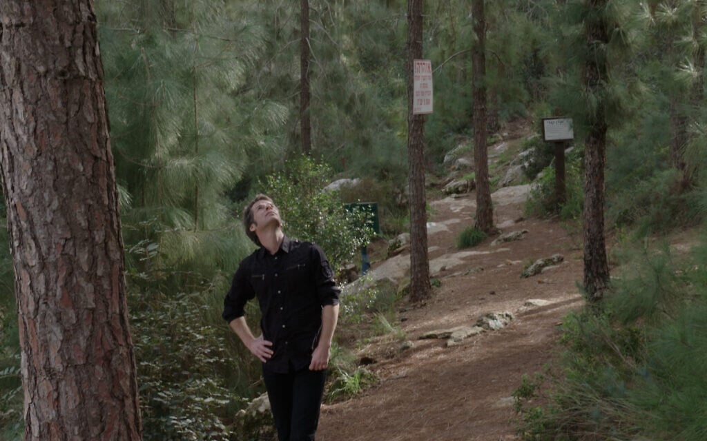 Jason Sherman wanders through an Israeli pine forest in search of his tree, as seen in 'My Tree' documentary film. (John Minh Tran) Jason Sherman wanders through an Israeli pine forest in search of his tree, as seen in 'My Tree' documentary film. (John Minh Tran)