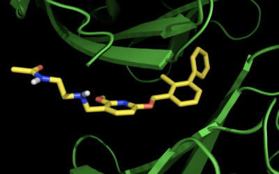 A computer-generated image of the synthetic cancer-fighting molecule developed at Tel Aviv University encountering proteins that inhibit the immune system. After encountering the proteins it reprograms them, to enable the immune system to fight the tumor. (courtesy of Tel Aviv University)