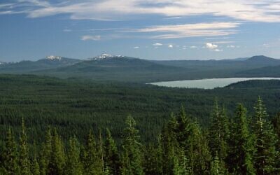 A view of the Umpqua National Forest in Oregon, the home of Swastika Mountain. (Public domain)