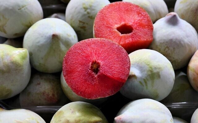 A variety of 'watermelon plum,' one of the creations of hybrid fruits by a hybrid fruit grower in the moshav of Yesod HaMa'Ala in northern Israel, July 21, 2022. (JACK GUEZ / AFP)