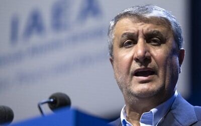 Iran's nuclear chief Mohammad Eslami speaks during the General Conference of the International Atomic Energy Agency (IAEA) at the agency's headquarters in Vienna, Austria, on September 26, 2022. (Joe Klamar/AFP)