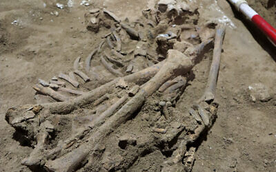 The human skeleton found in Borneo, dated to about 31,000 years ago, pictured in a cave in East Kalimantan, Borneo, Indonesia is photographed on March 4, 2020. (Courtesy of Tim Maloney/Griffith University via AP)