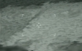 Footage released by the Danish military shows a gas leak on the underwater section of the Nord Stream, September 29, 2022. (Twitter)