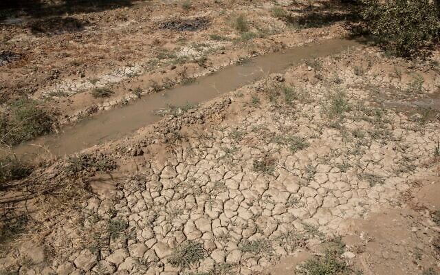FILE - This photo shows a dry land that was once fertile and green, in Second Village, Qouta town, Fayoum, Egypt, August 8, 2020. The Middle East is the most water-scarce region in the world. (AP Photo/Nariman El-Mofty) FILE - This photo shows a dry land that was once fertile and green, in Second Village, Qouta town, Fayoum, Egypt, August 8, 2020. The Middle East is the most water-scarce region in the world. (AP Photo/Nariman El-Mofty)