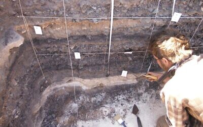 Investigating a pile of industrial waste mixed with charcoal on Slaves’ Hill, Timna Valley. (Courtesy of Erez Ben-Yosef and the Central Timna Valley Project)