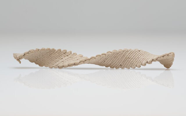 A helix artisanal piece produced by a wood-based 3D printing ink developed by researchers at Jerusalem's Hebrew University, September 20, 2022. (Supplied) A helix artisanal piece produced by a wood-based 3D printing ink developed by researchers at Jerusalem's Hebrew University, September 20, 2022. (Supplied)