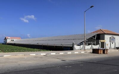 A solar farm facility powering "The Sailor" seafood restaurant, which is also used to shelter and provide oxygen for fish pools underneath, next to an agricultural field in Gaza City (MOHAMMED ABED / AFP)