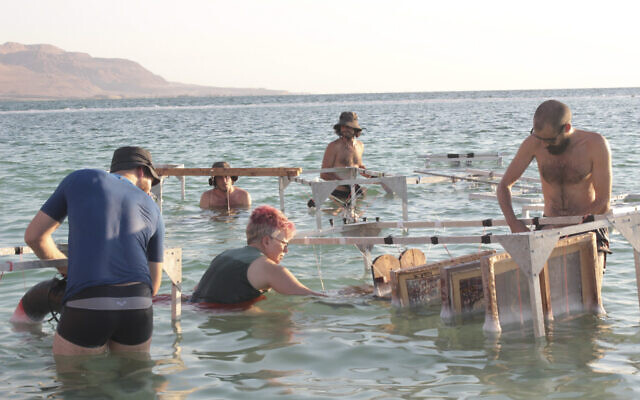 Artist Sigalit Landau and her team submerging items in the Dead Sea as part of her artistic process. (Courtesy Shaxaf Haber)