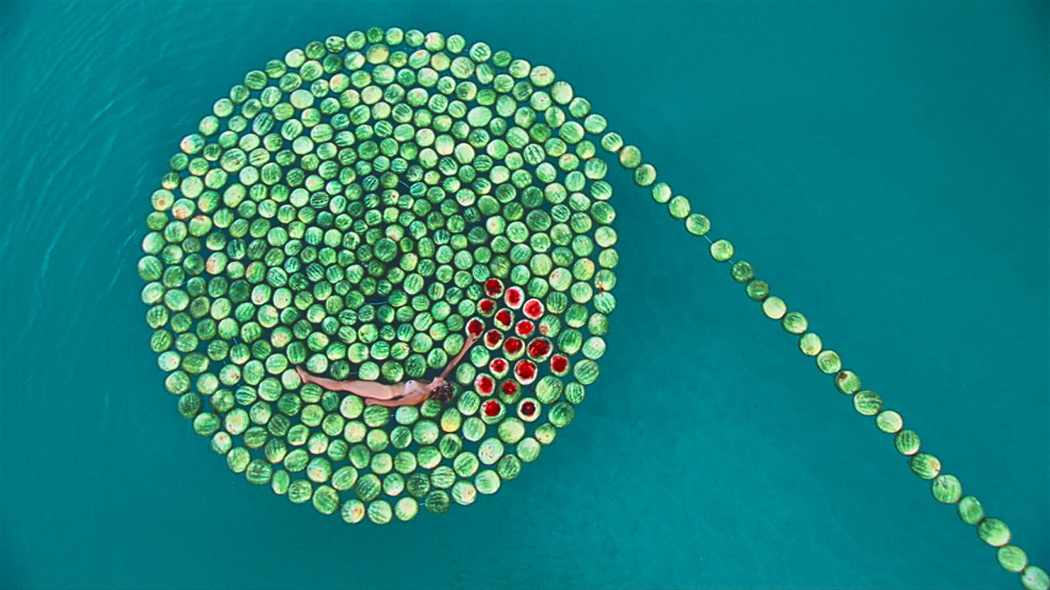 アート・デザイン・音楽 Sigalit Landau Salt Years Sigalit Landau | Salt Years