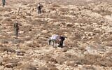 Settlers are seen assaulting a woman near the West Bank town of Kisan, October 18, 2022. (WAFA)