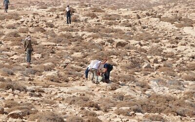 Settlers are seen assaulting a woman near the West Bank town of Kisan, October 18, 2022. (WAFA)