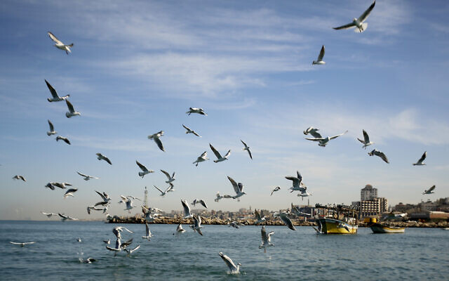 Gulls fly over the Mediterranean Sea at the Gaza port, in Gaza City, February 8, 2022. (AP Photo/Hatem Moussa) Gulls fly over the Mediterranean Sea at the Gaza port, in Gaza City, February 8, 2022. (AP Photo/Hatem Moussa)