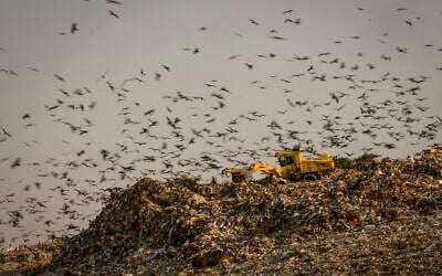 The Dudaim dump site is the biggest landfill in Israel, near the Bedouin city of Rahat in southern Israel, August 10, 2016. (Yaniv Nadav/Flash90)