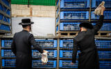 Ultra-Orthodox Jews perform the "kapparot" ceremony on October 3, 2022, in Jerusalem's Mea Shearim neighborhood. (Yonatan Sindel/Flash90)