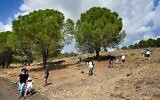 Hundreds of families take part in the annual Katzrin and Golan nature walk in different trails of the Katzrin forest, during the Jewish holiday of Sukkot, on October 13, 2022. (Michael Giladi/Flash90)