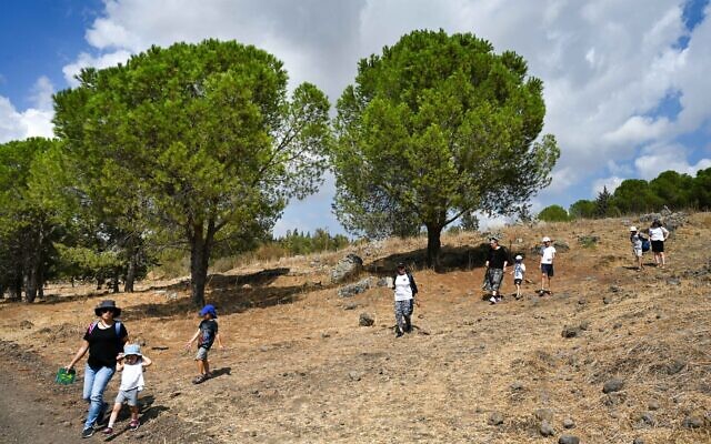 Hundreds of families take part in the annual Katzrin and Golan nature walk in different trails of the Katzrin forest, during the Jewish holiday of Sukkot, on October 13, 2022. (Michael Giladi/Flash90) Hundreds of families take part in the annual Katzrin and Golan nature walk in different trails of the Katzrin forest, during the Jewish holiday of Sukkot, on October 13, 2022. (Michael Giladi/Flash90)