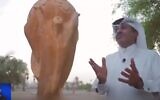Screen capture from video of Qatari Sheikh Hamad Al Suwaidi with a three-meter high stone replica of the soccer world cup he installed outside his home in Doha. (YouTube. Used in accordance with Clause 27a of the Copyright Law)