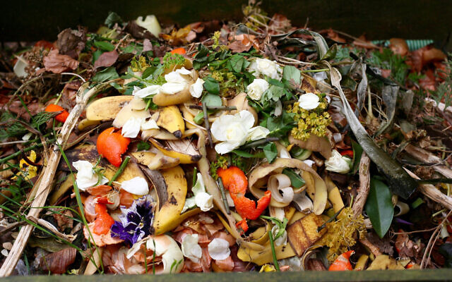 An illustrative photo of organic waste for composting. (Maerzkind via iStock by Getty Images) An illustrative photo of organic waste for composting. (Maerzkind via iStock by Getty Images)