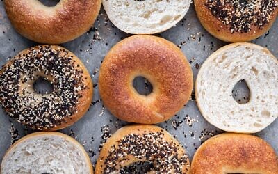 An illustrative photo of a variety of bagels. (Photo by Vicky Ng on Unsplash, free to use under the Unsplash License)