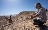 A griffon vulture is released into the wild in the Negev highlands in southern Israel, after being marked and fitted with a radio transmitter. (Yuval Dax, INPA)