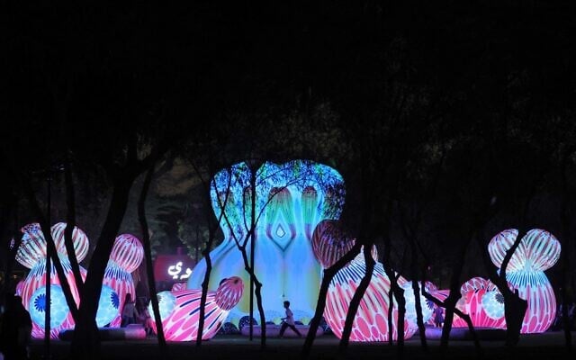 Saudis attend the Noor Riyadh lighting festival held at Al-Salam Park in the Saudi capital Riyadh, November 3, 2022. (Fayez Nureldine / AFP) Saudis attend the Noor Riyadh lighting festival held at Al-Salam Park in the Saudi capital Riyadh, November 3, 2022. (Fayez Nureldine / AFP)