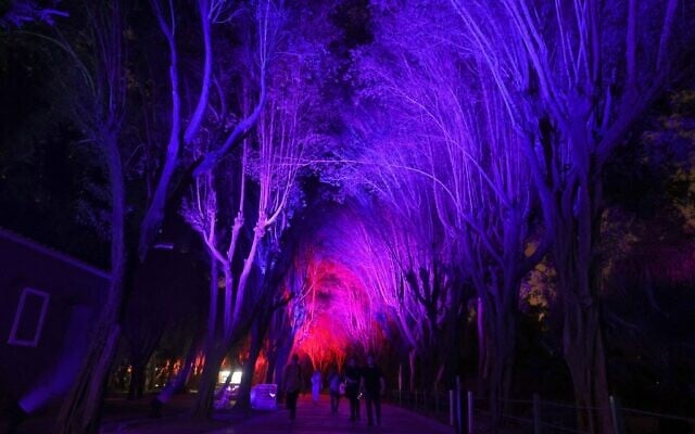 Saudis attend the Noor Riyadh lighting festival held at Al-Salam Park in the Saudi capital Riyadh, November 3, 2022. (Fayez Nureldine / AFP) Saudis attend the Noor Riyadh lighting festival held at Al-Salam Park in the Saudi capital Riyadh, November 3, 2022. (Fayez Nureldine / AFP)