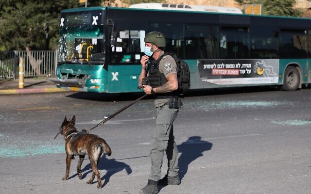 A member of the Israeli security forces holds a sniffer dog at the scene of an explosion at a bus stop in Jerusalem on November 23, 2022 (AHMAD GHARABLI / AFP) A member of the Israeli security forces holds a sniffer dog at the scene of an explosion at a bus stop in Jerusalem on November 23, 2022 (AHMAD GHARABLI / AFP)