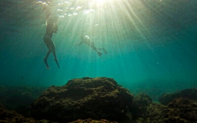 People snorkel in the Mediterranean Sea in Gador sea reserve, in Hadera, northern Israel, Oct. 29, 2022. (AP Photo/Ariel Schalit)