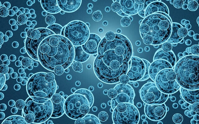 Illustrative image: minute gas bubbles similar to those used in the new Tel Aviv University method for exploding tumors (Love Employee via iStock by Getty Images) Illustrative image: minute gas bubbles similar to those used in the new Tel Aviv University method for exploding tumors (Love Employee via iStock by Getty Images)