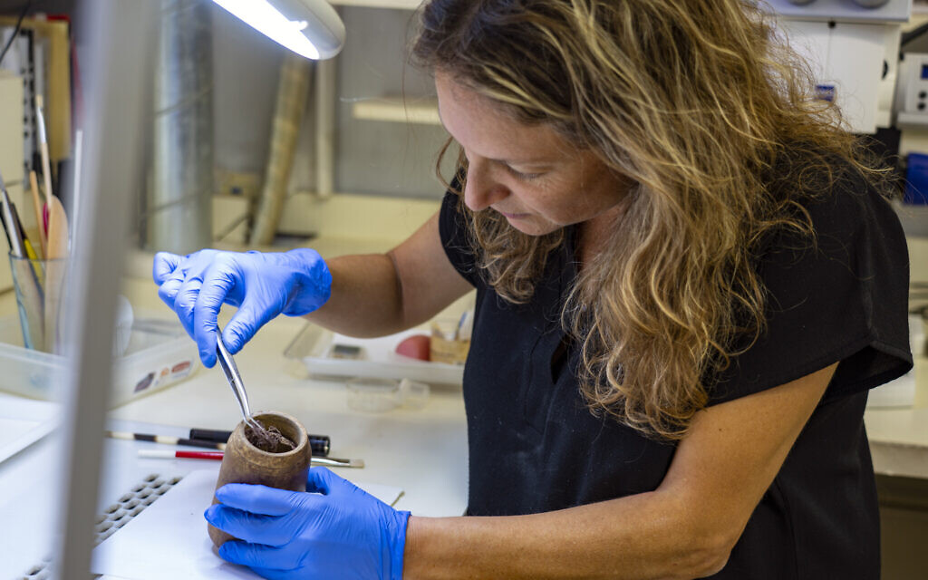 Dr. Naama Sukenik, director of the Laboratory of Organic Materials lifts the woolen cloth from the 2,200-year-old wooden box discovered in Wadi Muraba‘at near the Dead Sea in the IAA laboratory. (Yaniv Berman, Israel Antiquities Authority)