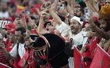 Morocco fans celebrate during the World Cup group F soccer match between Canada and Morocco at the Al Thumama Stadium in Doha , Qatar, December 1, 2022. (AP Photo/Natacha Pisarenko)