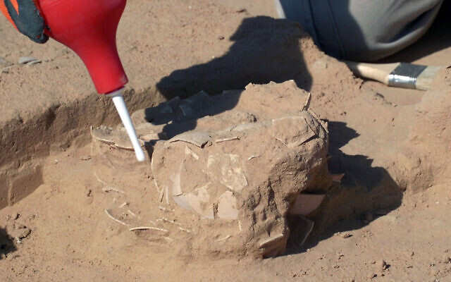 Ostrich eggs found in the Nitzana dunes excavations, southern Israel (Emil Aladjem/Israel Antiquities Authority)