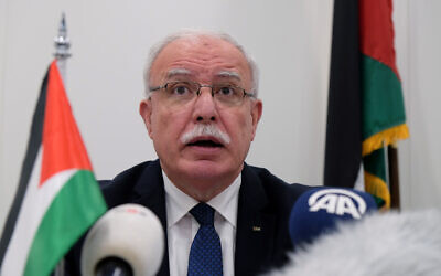 Palestinian Foreign Minister Riyad Malki speaks during a press conference at the International Criminal Court on May 22, 2018. (Mike Corder/AP)