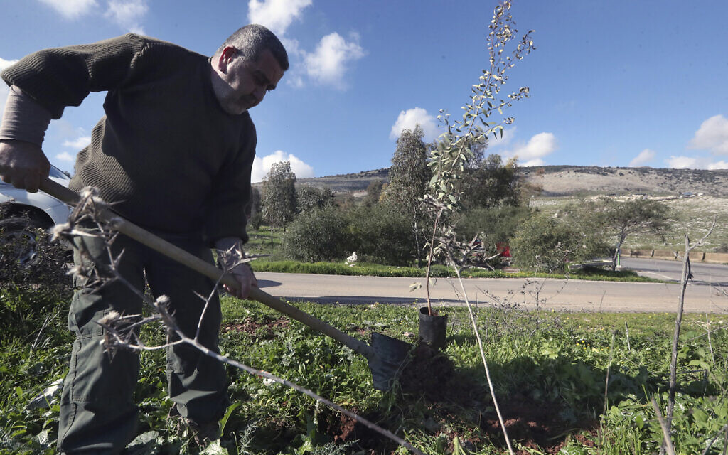 A member of Green Without Borders a non-governmental organization plants a tree in a nature reserve in the outskirts of the southern town of Nabatiyeh, Lebanon, January 18, 2023. (Mohammed Zaatari/AP) A member of Green Without Borders a non-governmental organization plants a tree in a nature reserve in the outskirts of the southern town of Nabatiyeh, Lebanon, January 18, 2023. (Mohammed Zaatari/AP)