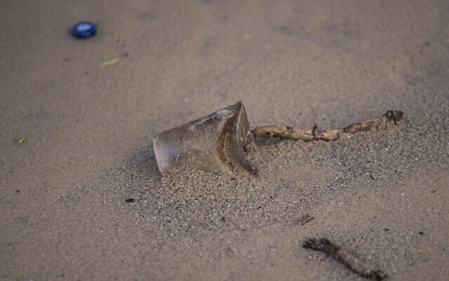 A disposable plastic cup is seen at the beach in Tel Aviv, January 9, 2023. (Oded Balilty/AP) A disposable plastic cup is seen at the beach in Tel Aviv, January 9, 2023. (Oded Balilty/AP)