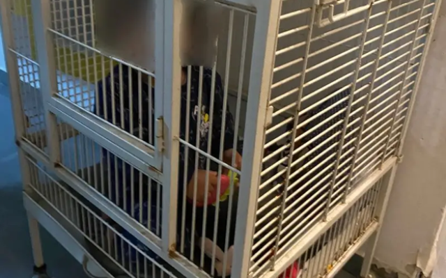 A one-year-old baby inside a metal cage, found by police during a drug search operation at an apartment building in Haifa, January 15, 2023. (Israel Police) A one-year-old baby inside a metal cage, found by police during a drug search operation at an apartment building in Haifa, January 15, 2023. (Israel Police)
