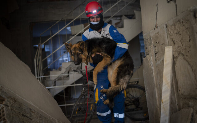 A member of the Turkish animal rights group HAYTAP, rescues a dog that was trapped for seven days inside a house affected by the earthquake in Antakya, southeastern Turkey, February 12, 2023. (Bernat Armangue/AP)
