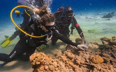 Environment Protection Minister Idit Silman, left, dives at the coral reefs in Eilat, February 6, 2023. (Omri Omsi/Israel Nature and Parks Authority)