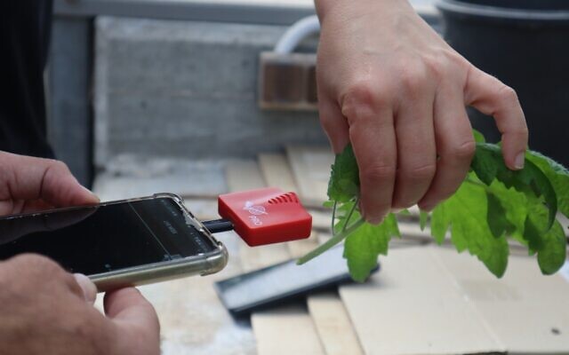 In groundbreaking research, Tel Aviv U team records plants 'talking' for  first time | The Times of Israel