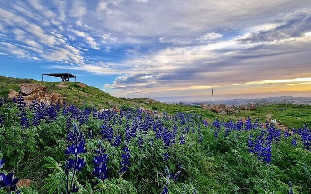 Mitzpe-Tel in southeast Jerusalem. (Pnina Shir)
