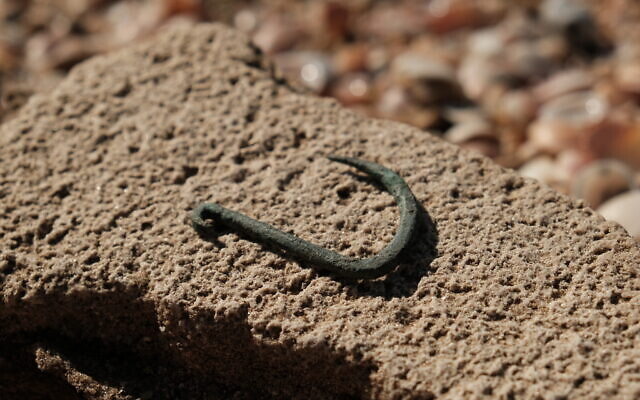 A copper fishhook discovered in Ashkelon in 2018 was likely used to hunt sharks, in this photo from the Israel Antiquities Authority on March 29, 2023. (courtesy Emil Aladjem/IAA)