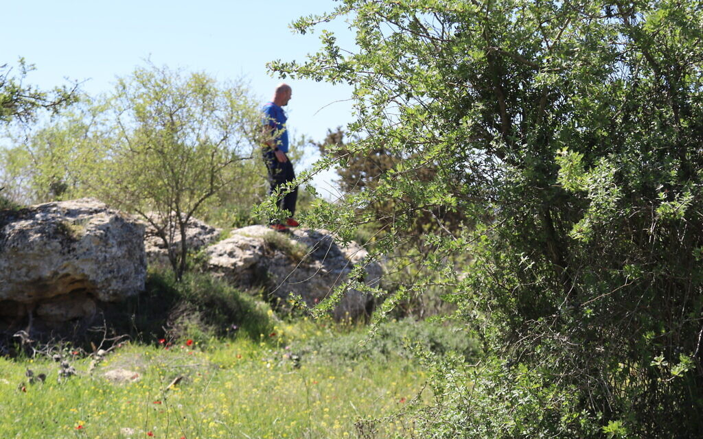 Walking the Cedar Trail in the Jerusalem Forest. (Shmuel Bar-Am)