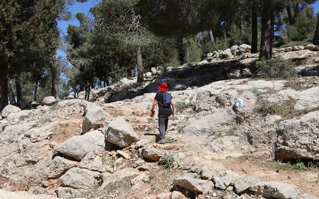Walking the Cedar Trail in the Jerusalem Forest. (Shmuel Bar-Am)