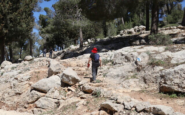 Walking the Cedar Trail in the Jerusalem Forest. (Shmuel Bar-Am)
